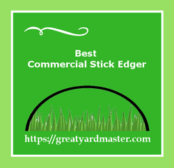 commercial stick edger